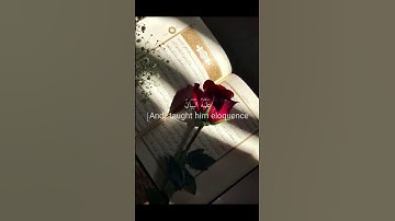 سورة الرحمن القارئ اسلام صبحي #القرآن #اكسبلور #القرآن_الكريم #حالات_واتس_اب #راحة_نفسية #حالات_واتس