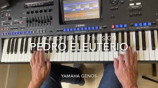 The Sign (Ace of Base) cover played live by Pedro Eleuterio with Yamaha Genos