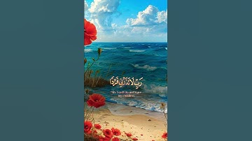 #القرآن_الكريم #المصحف #راحة_نفسية #تلاوة_خاشعة #دويتو #duet #اكسبلور #لايك #تيك_توك #حالات_واتس