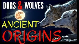Dogs \& Wolves - Ancient Origins and Strange Beliefs ~ with David Ian Howe
