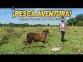 NO CREERÁS lo que pasó con esta VACA mientras pescaba! 🐄🎣 #pesca #rios #campo 