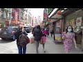 NYC Chinatown FOOD Tour : Window Shopping Mott Street