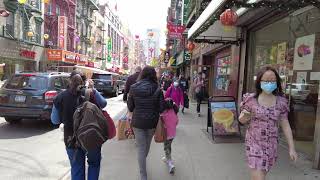 NYC Chinatown FOOD Tour : Window Shopping Mott Street