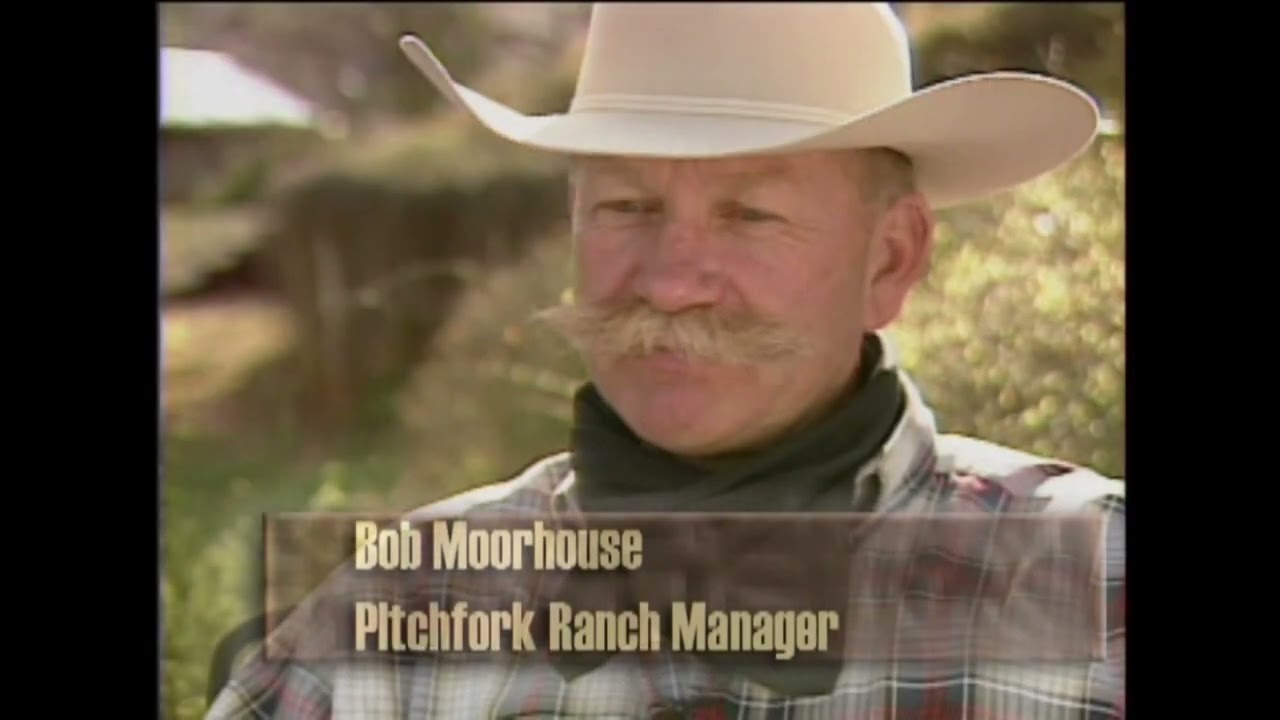 Pitchfork Ranch 1998 AQHA Best Remuda Winners