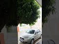 Chuva agora em Jardim do Piranhas RN