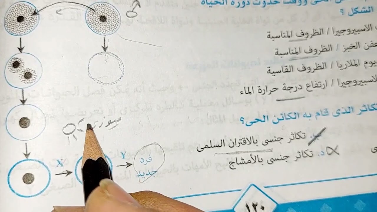 حل كتاب النفيس ( الاختبار الاول ) 2022 في الاحياء بالتفسير - مراجعة نهائية - فصل التكاثر