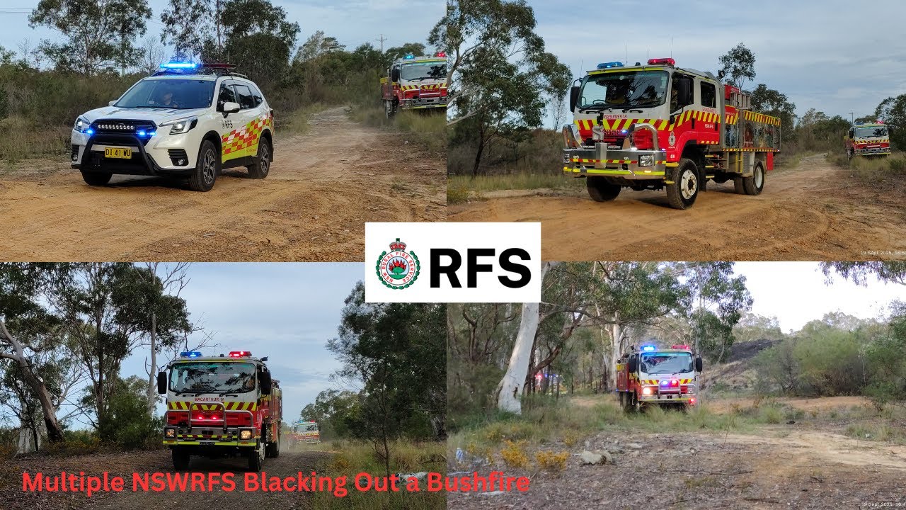 [BUSH-FIRE] Multiple NSWRFS crews blacking out a bushfire in Macquarie Fields