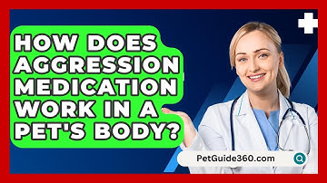 How Does Aggression Medication Work In A Pet