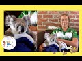 Izzy and The Koala