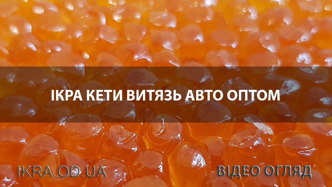 Редькин витязь авто