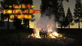 Fireworks Safety