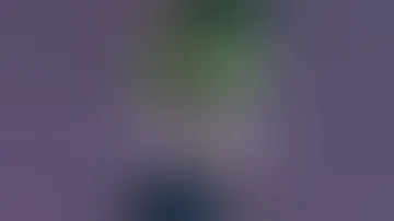 Wipe Out Spell Traps Cards With X Saber Duel Links Quiz 
