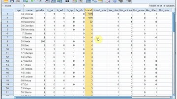 SPSS Data entry part 4