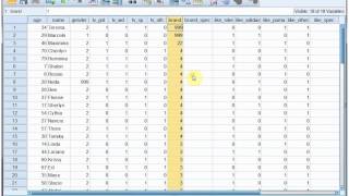 SPSS Data entry part 4