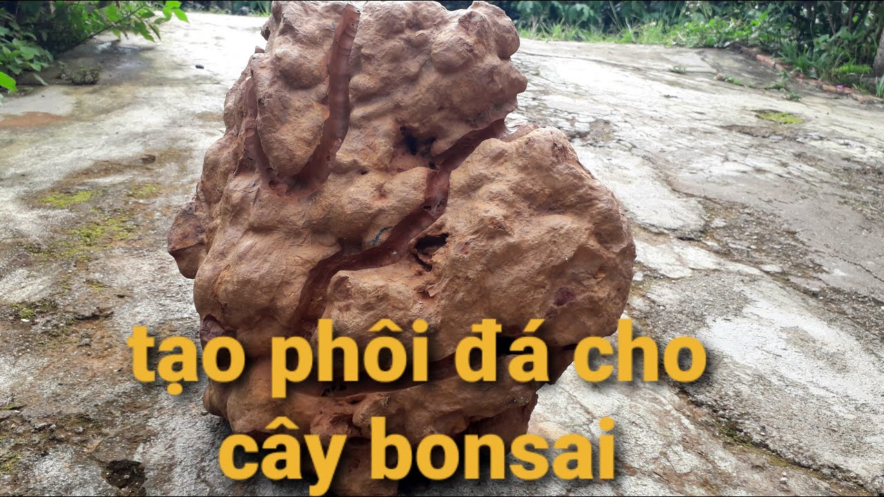 Phôi đá bonsai - YouTube