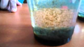 Uji coba air mineral dan ternyata yang baik adalah sweet water dan cleo