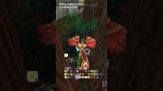 How to get Mystic Scroll: Shield of Wrath | Paladin [Warcraft Reborn | Ascension Bronzebeard]