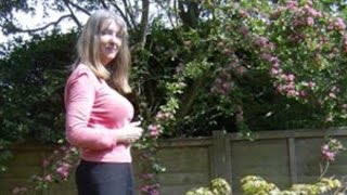 Calvin Cycle FULL SIX CARBON  ANIMATION. YouTube. screenshot 4