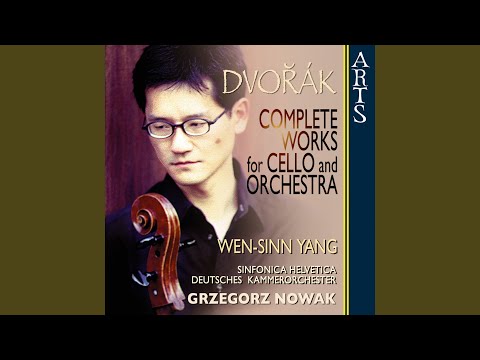 Concerto For Cello And Orchestra In B Minor B 191 Op. 104: I. Allegro