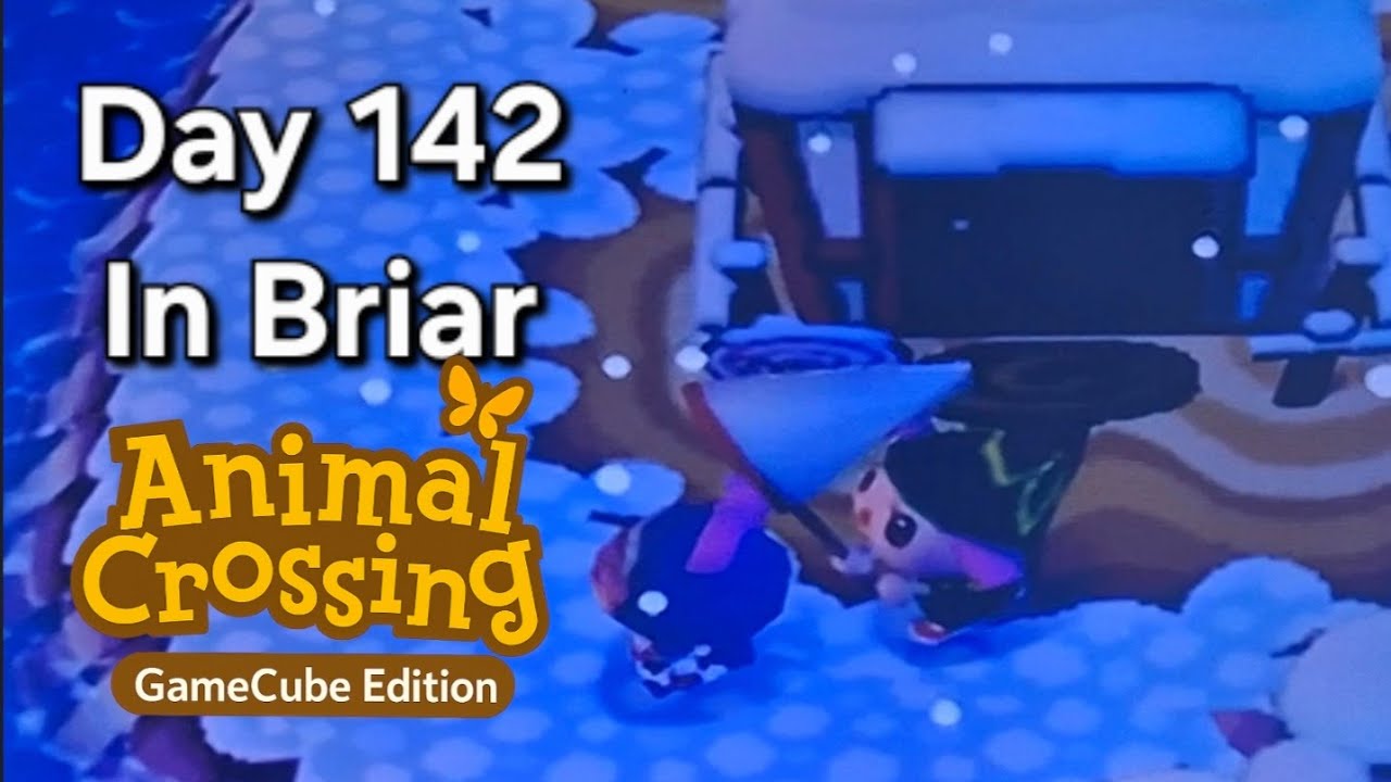 Animal Crossing GameCube – Day 142: Lighthouse Duty, Hill Fails, and Snake’s Bad Timing