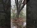 Thunderstorms NTX 3/4/26                 5:08pm update