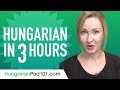 Learn hungarian in 3 hours  all the hungarian basics you need