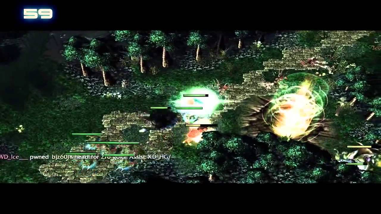 wodota 100