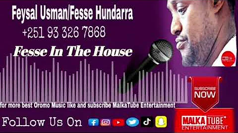 Feysal Usman (Fesse hundarra) New Oromo Cover Musi...