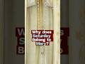 Why Saturday Belongs to Mary?