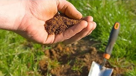 Demonstration On Collection Of Soil Sample For Soil Testing