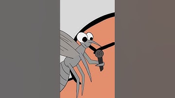 Thumbnail of Stan Twitter: Mosquito singing Candy Shop at your ear at 3 AM #shorts #stantwitter