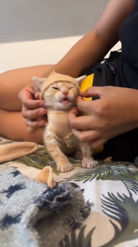 Top des vidéos très mignon ♥️ ❄️ ♥️ ❄️ ♥️ ❄️ ♥️ ❄️