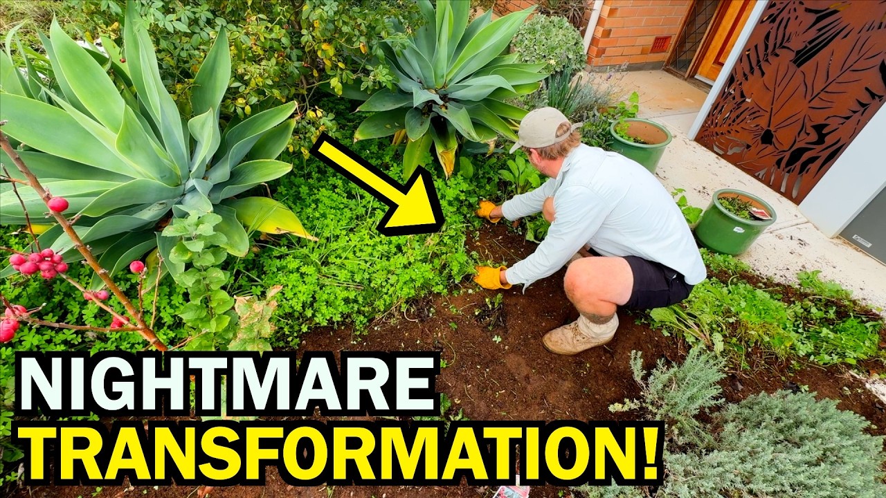 I Completely TRANSFORMED Her Garden For FREE - Her Reaction Says It ALL