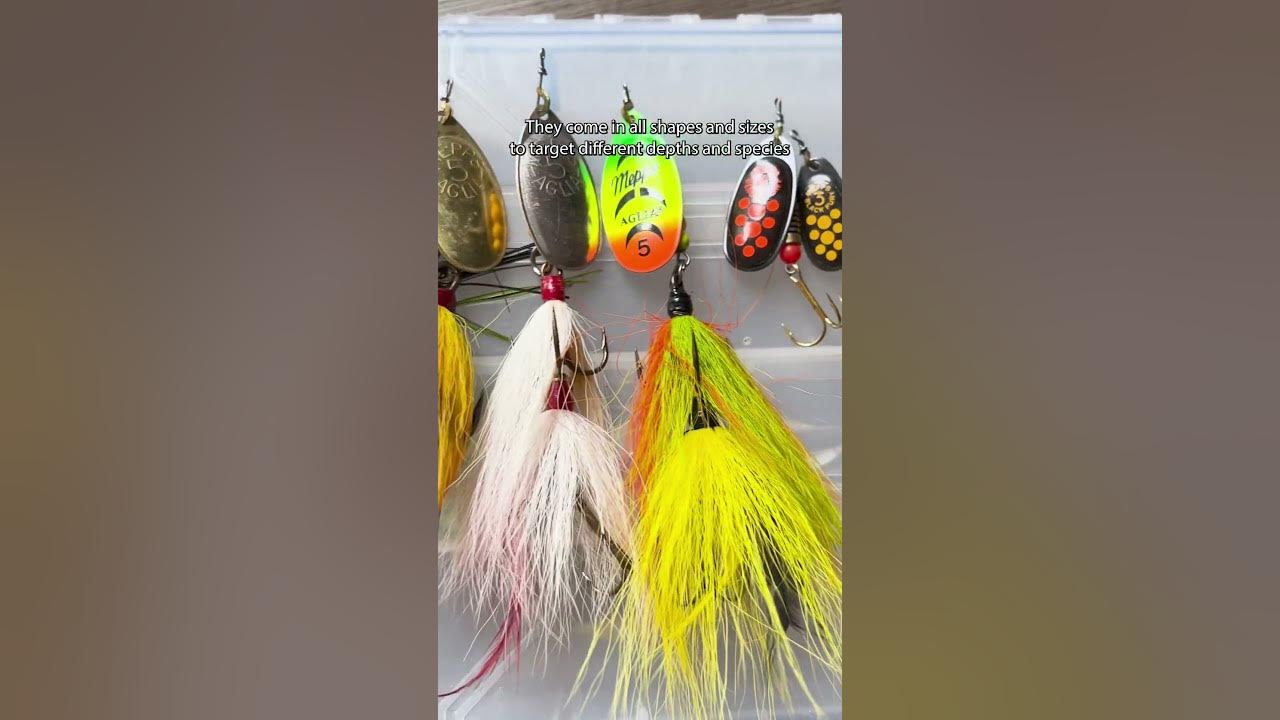 MOST UNDERRATED Fishing Lure⁉️ (The In-Line Spinner) 