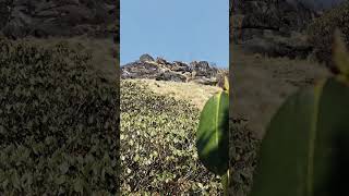 #munsiyari #lifeisbutadream