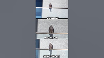 Vivo X300 Pro Vs Oppo Find X9 pro vs iPhone 17 Pro Max Zoom Test Photography Test compare battle