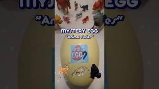 Animal series toy prizes | Mystery Egg #mysteryegg #toys #shorts