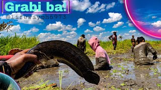 Unique Fishing Method | Pangangapa - the barehand fishing | Ligawasan Marsh Philippines