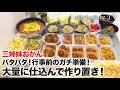 【料理】平日鬼ラク!献立に困ったらこれ見て!ひたすら作り置き!一気に冷凍・冷蔵保存していく様子です!!