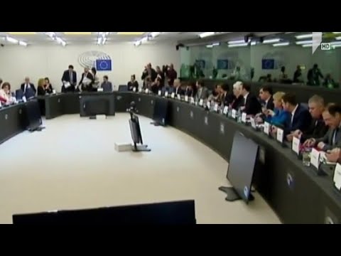 ევროპარლამენტის მისიის შექმნის ინიციატივა