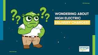 High Texas Electric Delivery Charges?