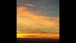 Bittertooth - Capitola