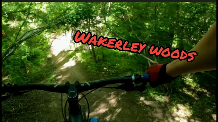 Wakerley woods - MTB
