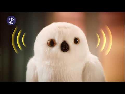 Lechuza Encantada Hedwig Harry Potter C/ Sonido Y Mov — El Rey del  entretenimiento