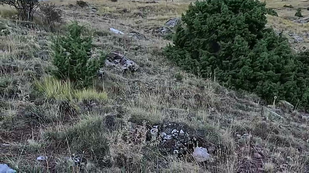 ALPHA ΜΕ ΤΗΝ ΤΕΜΠΕΛΑ...