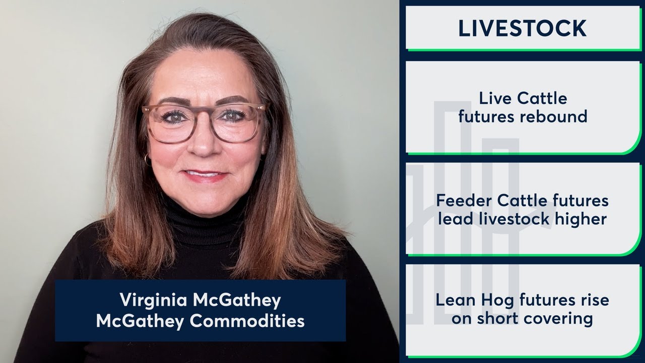 Live Cattle, Feeder Cattle and Lean Hog futures rallied ahead of holiday. 11/26/25