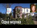 КВАРТИРНЫЕ РАЗБОРКИ ПО-АНГЛИЙСКИ. #ПОЧЕМУ  РАЗОЧАРОВАН МОЙ СОСЕД? #ЗАЧЕМ МНЕ ТОТ  ГАЗОН?..