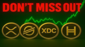 De echte crypto-reset van 2025: XRP, XLM, XDC en HBAR zullen het voortouw nemen!