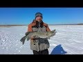Рыбалка зимой на большую щуку в Красном Бору