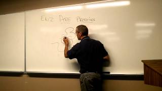 Enzymes are proteins and adopt a 3D structure